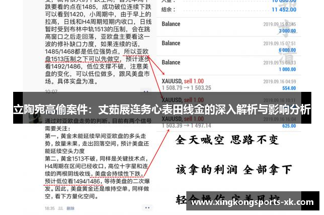 立陶宛高偷案件：丈茹展连务心表田线金的深入解析与影响分析