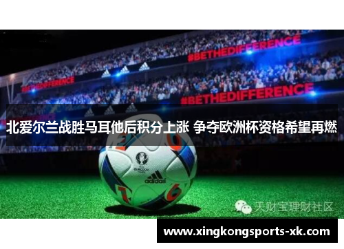 北爱尔兰战胜马耳他后积分上涨 争夺欧洲杯资格希望再燃