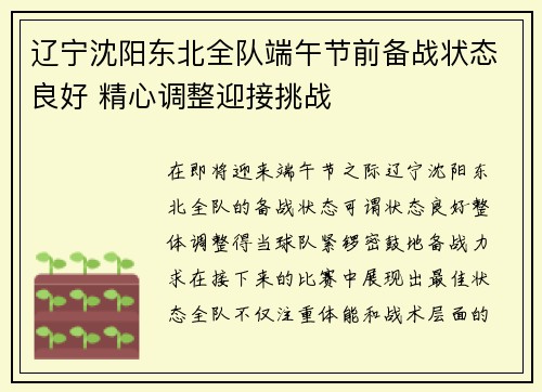 辽宁沈阳东北全队端午节前备战状态良好 精心调整迎接挑战