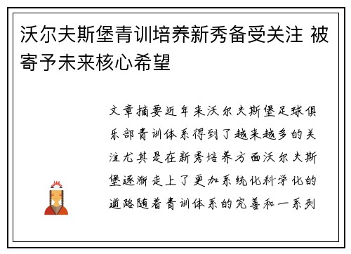 沃尔夫斯堡青训培养新秀备受关注 被寄予未来核心希望