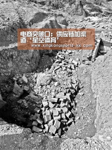 电商突破口:供应链加渠道‘星空体育’(图2) 电商突破口:供应链加渠道‘星空体育’(图2)