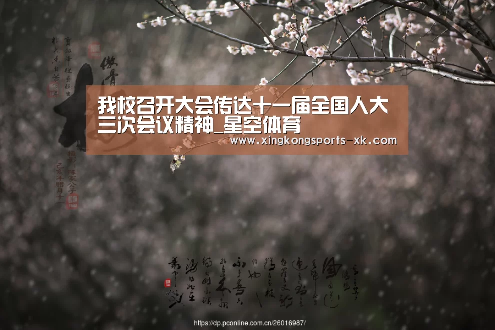 我校召开大会传达十一届全国人大三次会议精神_星空体育(图1) 我校召开大会传达十一届全国人大三次会议精神_星空体育(图1)