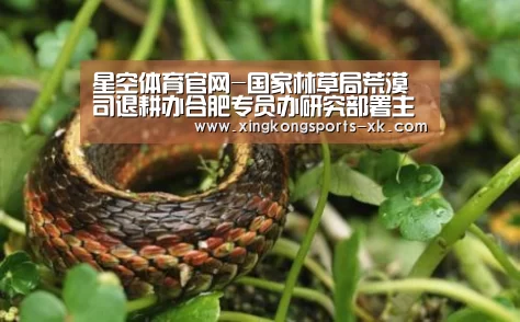 星空体育官网-国家林草局荒漠司退耕办合肥专员办研究部署主题教育(图4) 星空体育