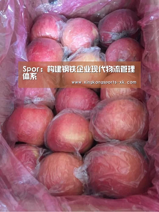 Spor:构建钢铁企业现代物流管理体系(图2) 星空体育