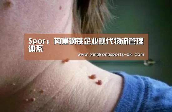 Spor:构建钢铁企业现代物流管理体系(图4) 星空体育官网
