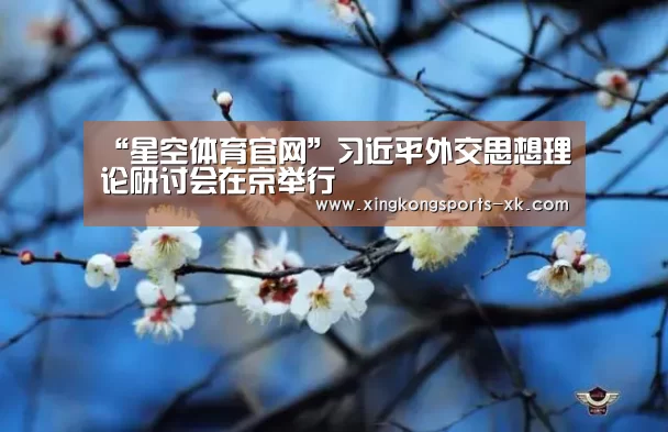 “星空体育官网”习近平外交思想理论研讨会在京举行(图2) “星空体育官网”习近平外交思想理论研讨会在京举行(图2)