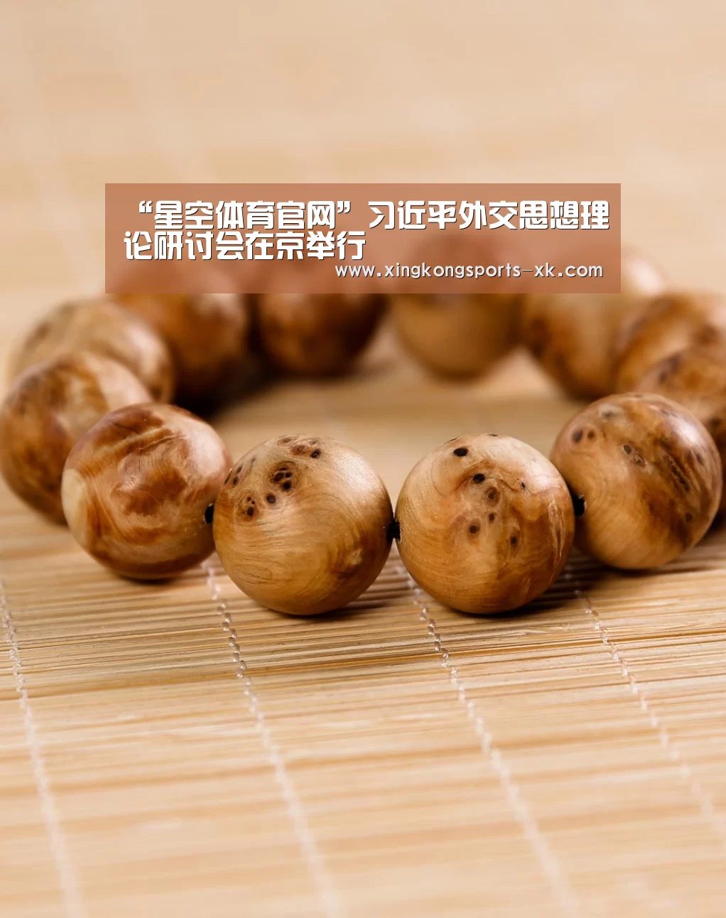 “星空体育官网”习近平外交思想理论研讨会在京举行(图3) “星空体育官网”习近平外交思想理论研讨会在京举行(图3)