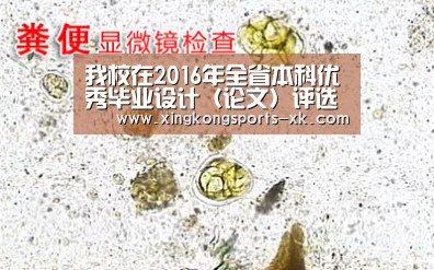 我校在2016年全省本科优秀毕业设计（论文）评选中获得佳绩|Spor(图4)
