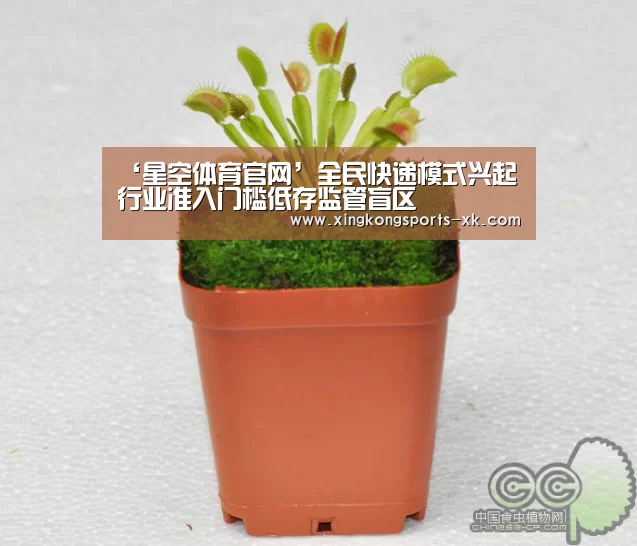 ‘星空体育官网’全民快递模式兴起 行业准入门槛低存监管盲区(图1) ‘星空体育官网’全民快递模式兴起 行业准入门槛低存监管盲区(图1)